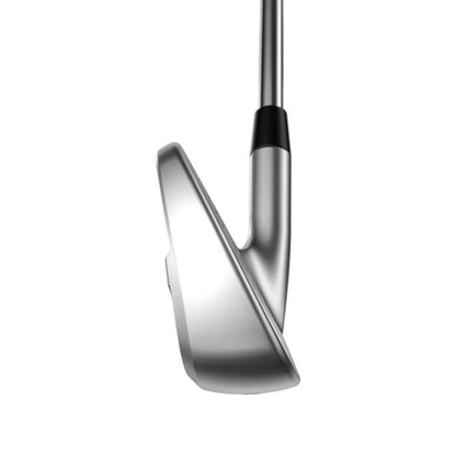 2024 Callaway Apex Pro Series Player Set - Graphite