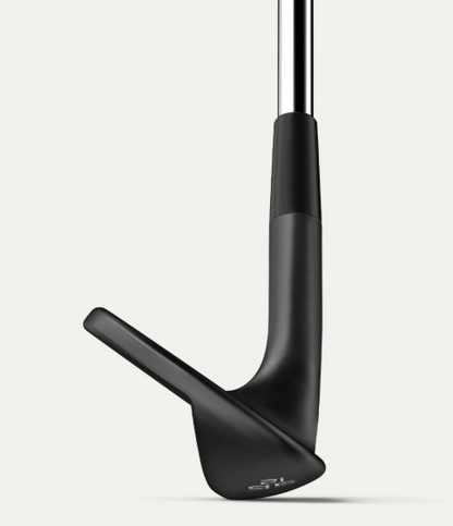 Wilson Infinite Wedge